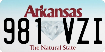 AR license plate 981VZI