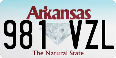 AR license plate 981VZL