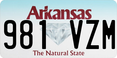 AR license plate 981VZM