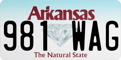 AR license plate 981WAG