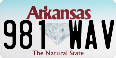 AR license plate 981WAV