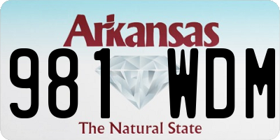 AR license plate 981WDM