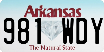 AR license plate 981WDY