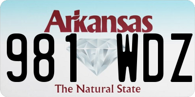 AR license plate 981WDZ