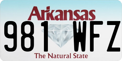 AR license plate 981WFZ