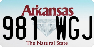 AR license plate 981WGJ