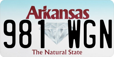 AR license plate 981WGN