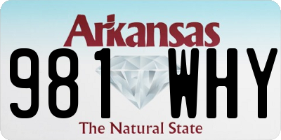 AR license plate 981WHY