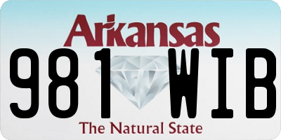 AR license plate 981WIB