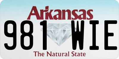 AR license plate 981WIE
