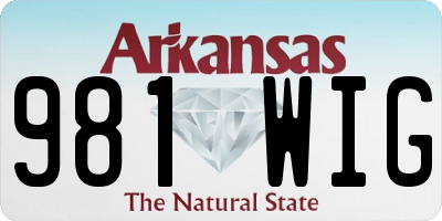 AR license plate 981WIG