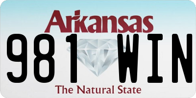 AR license plate 981WIN