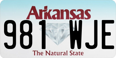 AR license plate 981WJE