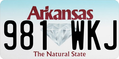 AR license plate 981WKJ