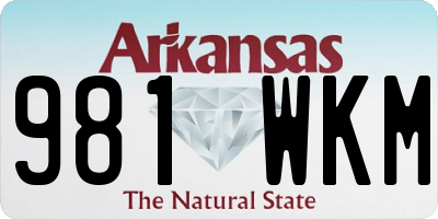 AR license plate 981WKM