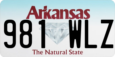 AR license plate 981WLZ