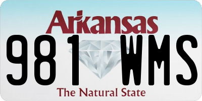 AR license plate 981WMS