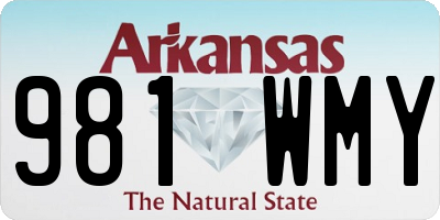 AR license plate 981WMY