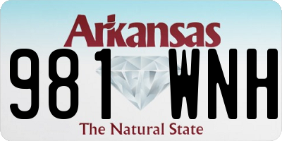 AR license plate 981WNH