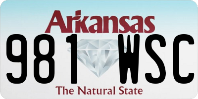 AR license plate 981WSC