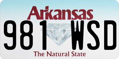 AR license plate 981WSD