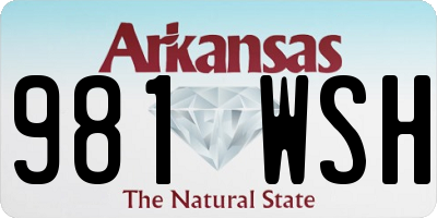 AR license plate 981WSH