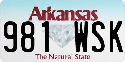 AR license plate 981WSK
