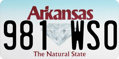 AR license plate 981WSO
