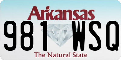 AR license plate 981WSQ