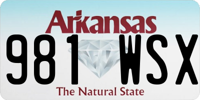 AR license plate 981WSX