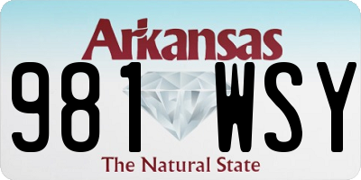 AR license plate 981WSY