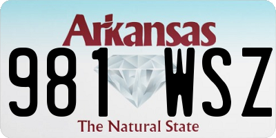 AR license plate 981WSZ