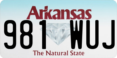 AR license plate 981WUJ