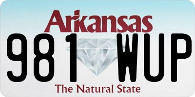 AR license plate 981WUP