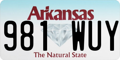 AR license plate 981WUY