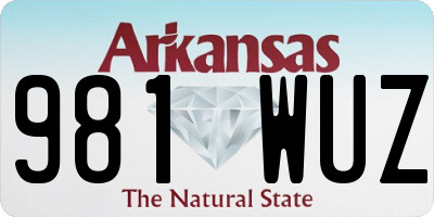 AR license plate 981WUZ