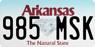 AR license plate 985MSK