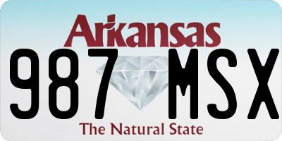 AR license plate 987MSX
