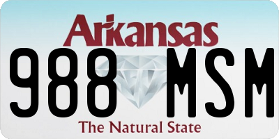 AR license plate 988MSM