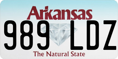 AR license plate 989LDZ
