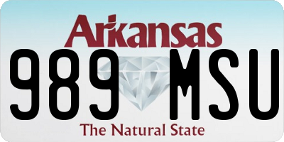 AR license plate 989MSU