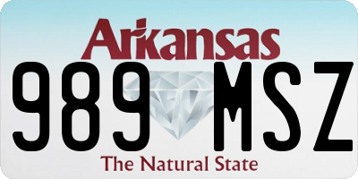 AR license plate 989MSZ