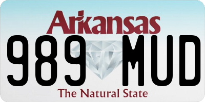 AR license plate 989MUD