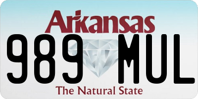 AR license plate 989MUL