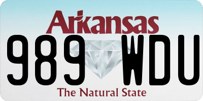 AR license plate 989WDU