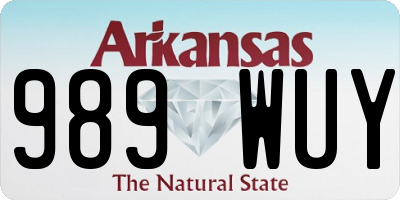 AR license plate 989WUY