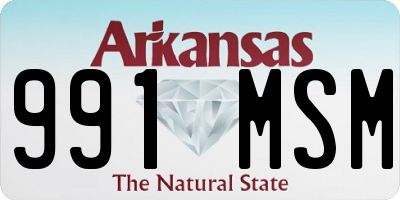 AR license plate 991MSM