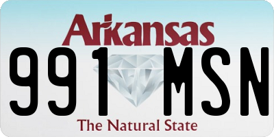 AR license plate 991MSN