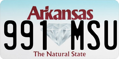 AR license plate 991MSU