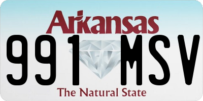 AR license plate 991MSV
